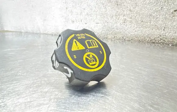 Opel Insignia A Coolant expansion tank/reservoir cap 13502353