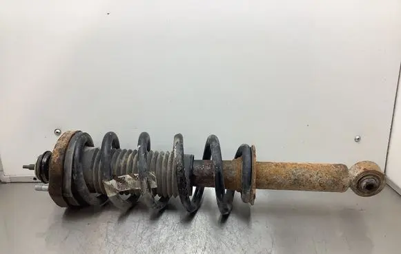 Fiat Freemont Rear shock absorber with coil spring