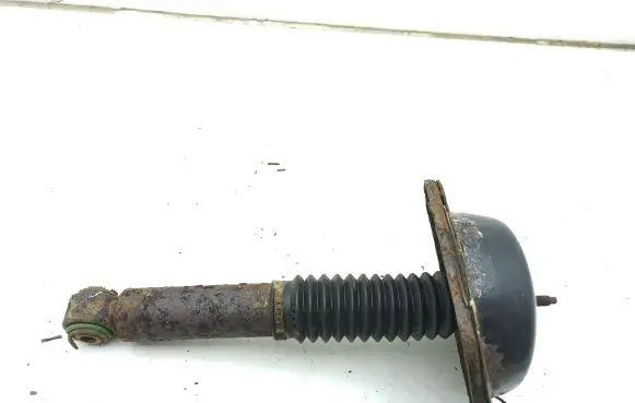 Rear shock absorber/damper
