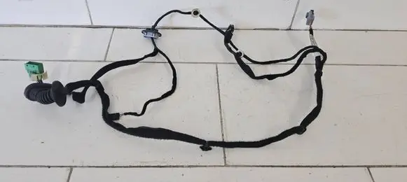 Citroen C4 II Rear door wiring loom 9675699280 550XR5003 006782