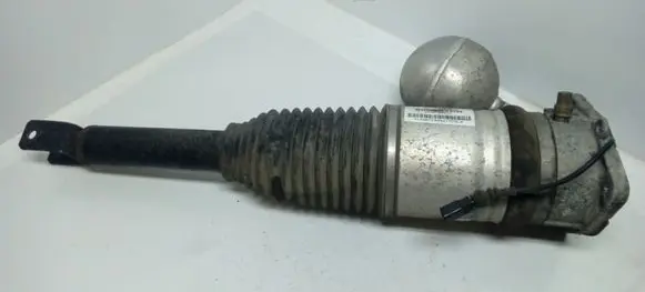 Volkswagen Phaeton Shock absorber/damper/air suspension 3D0616001K