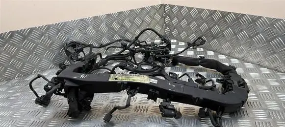 Engine installation wiring loom