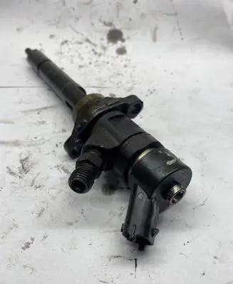 Peugeot 407 Fuel injector 0445110259