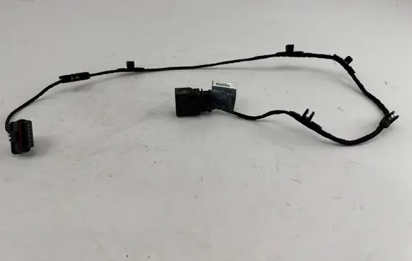 Other wiring loom