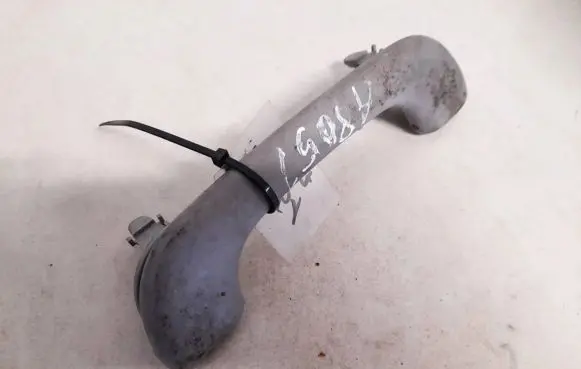 Renault Laguna II Front interior roof grab handle 8200000099