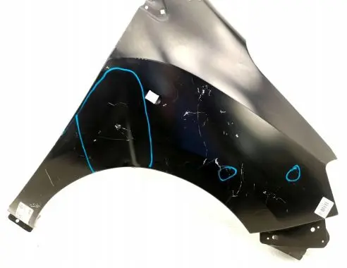Dacia Lodgy Fender 4570006