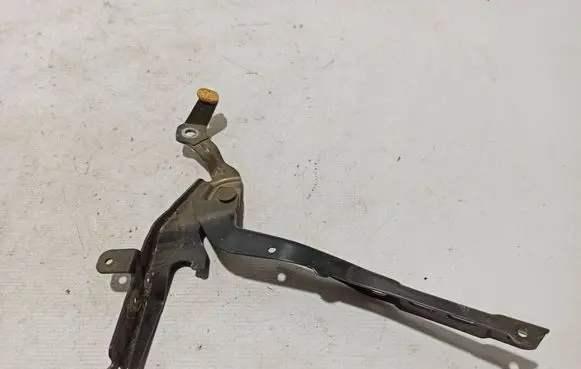Peugeot 2008 II Engine bonnet/hood hinges 9820730680