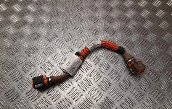 Smart ForFour II W453 Other wiring loom 240419493R