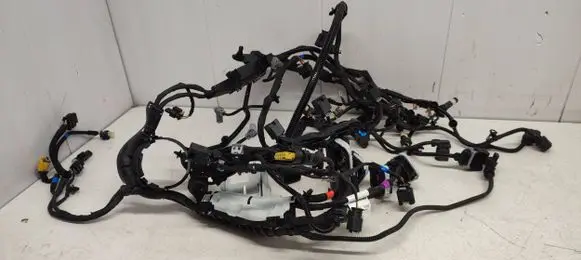 Engine installation wiring loom