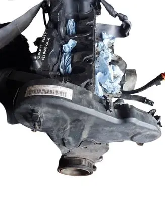 Volkswagen Golf VI Engine CAY