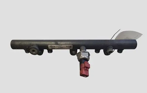 Peugeot Partner Fuel main line pipe 9640387980 5WS40002