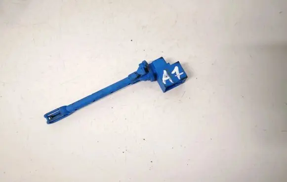 Interior temperature sensor