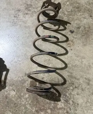 Rear coil spring