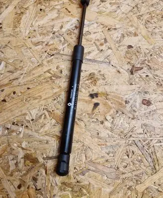 Tailgate strut