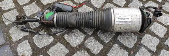 Volkswagen Phaeton Front shock absorber/damper 3D0616039LJ