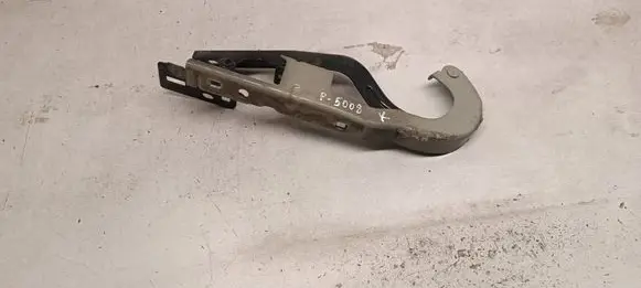 Peugeot 5008 Engine bonnet/hood hinges 4R0308253