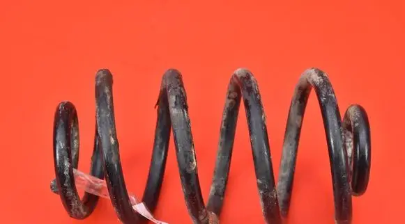 Opel Signum Rear coil spring