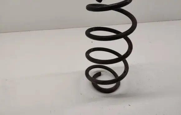 Rear coil spring