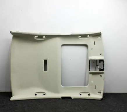 Volkswagen PASSAT B8 Headlining 3G5971100