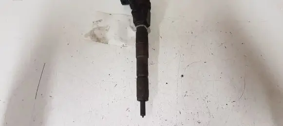 Opel Insignia A Fuel injector 0445110423 55577668