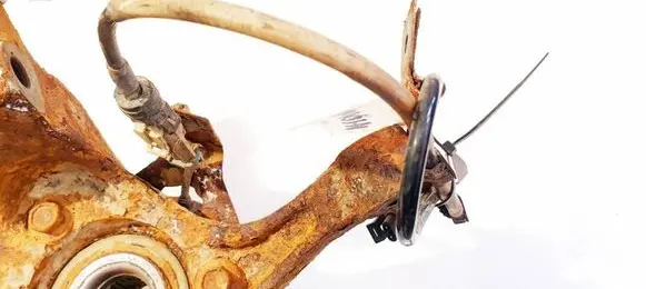 Other wiring loom