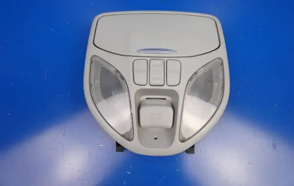 Hyundai Santa Fe Headlining lighting console trim 928002W100