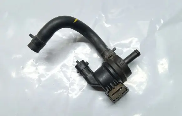 Hyundai i30 Vacuum valve 29010-02100