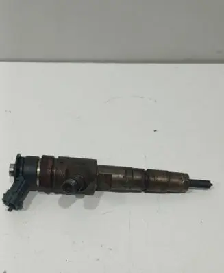 Citroen C3 Fuel injector 870692