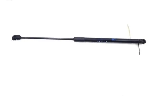 Tailgate strut