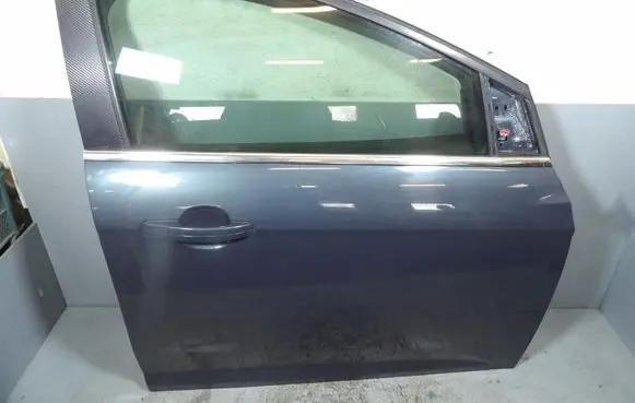 Ford Focus Front door 