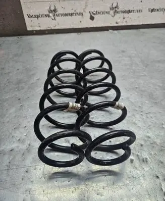 Rear coil spring