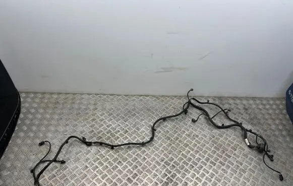 Peugeot 508 II Parking sensor (PDC) wiring loom 9819031180