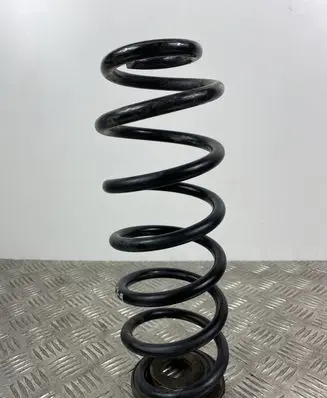 Volkswagen Tiguan Rear coil spring