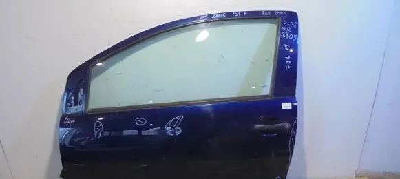 Volkswagen Fox Front door