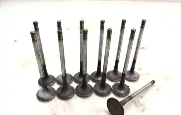 BMW 5 E39 Valve 