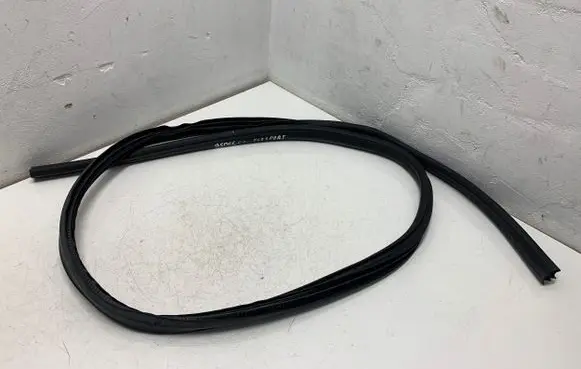 Ford Ecosport Rear door rubber seal (on body) 