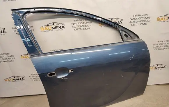 Opel Insignia A Front door