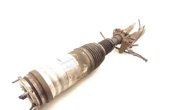 Land Rover Discovery 4 - LR4 Front shock absorber/damper CPLA3C286CC 22277022