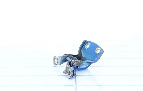 Chevrolet Kalos Front door lower hinge 