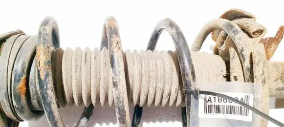 Ford Focus Front coil spring