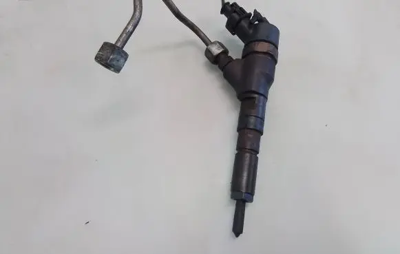 Citroen C5 Fuel injector 0445110076