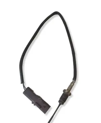 Citroen C6 Exhaust gas temperature sensor 9638231780 D03J290040
