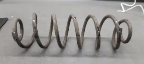Ford Fusion Rear coil spring