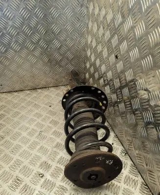 Front shock absorber with coil spring