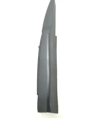 Rear/tail light trim molding