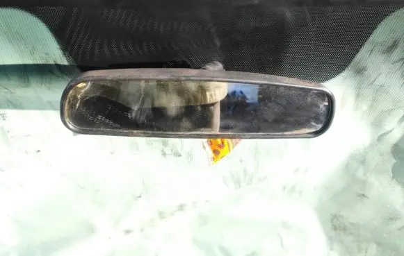Mazda CX-7 Rear view mirror (interior)