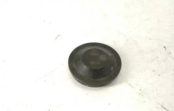 Volkswagen PASSAT B6 Headlight/headlamp dust cover 153873