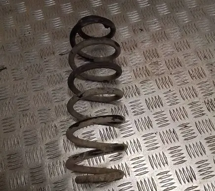 Volkswagen PASSAT B6 Rear coil spring