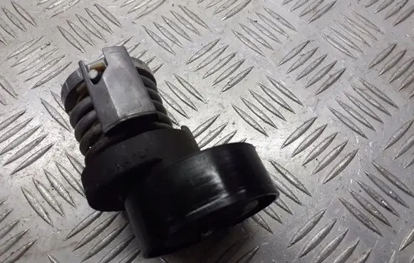 Skoda Fabia Mk1 (6Y) Alternator belt tensioner pulley 030145299