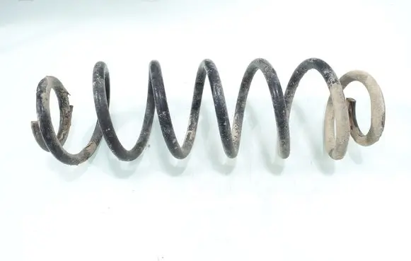 Rear coil spring